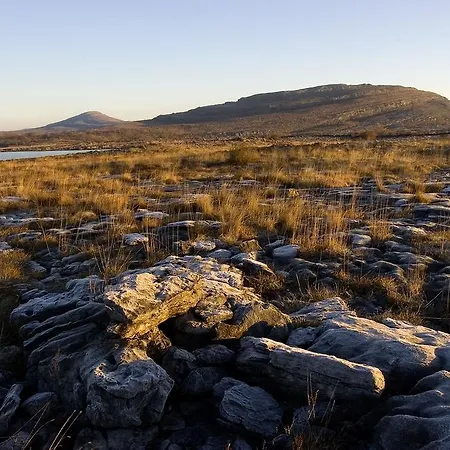 Wild Honey Vendégház Lisdoonvarna