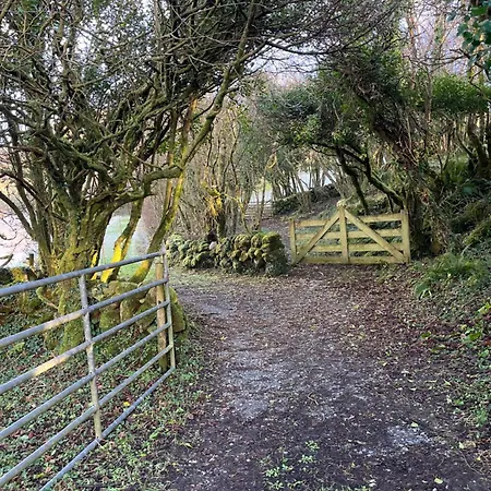 Wild Honey Vendégház