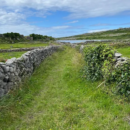 Vendégház Wild Honey