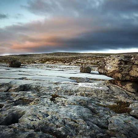 Vendégház Wild Honey 4*