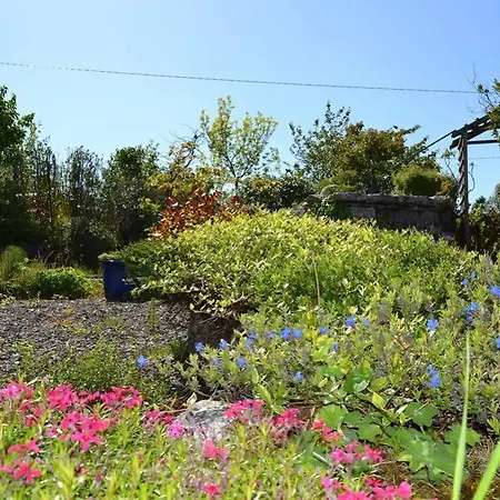Guest house Wild Honey 4*