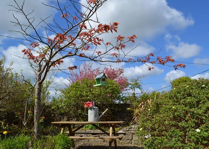 Wild Honey 4* Lisdoonvarna