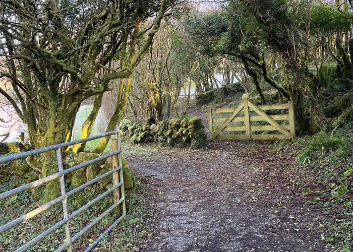 Wild Honey Guest house