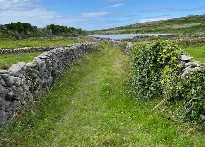 Guest house Wild Honey