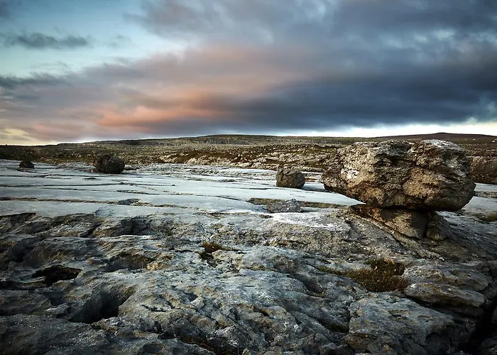 Guest house Wild Honey 4*