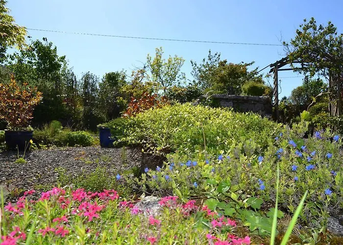 Guest house Wild Honey 4*